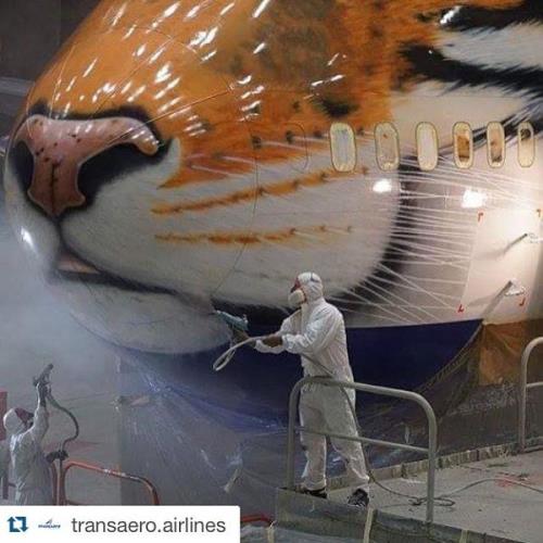Foto: Transaero Airlines